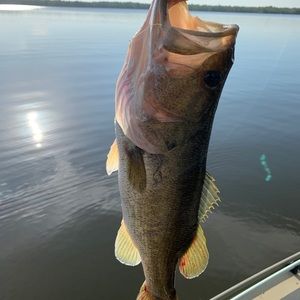 Meet your Posher, Ron